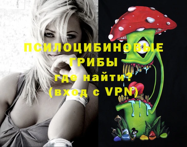 хмурый Богородицк