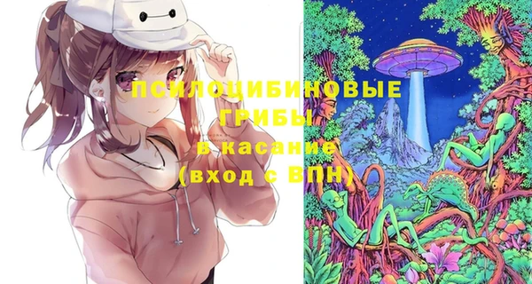 хмурый Богородицк