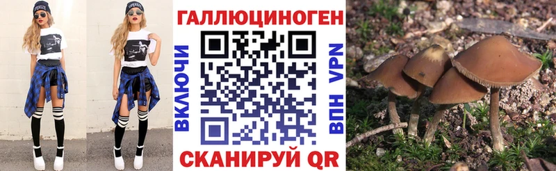 Псилоцибиновые грибы Psilocybe  Белорецк 