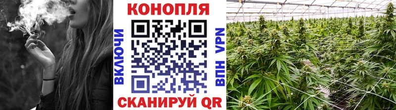 где продают наркотики Белорецк Бошки марихуана план